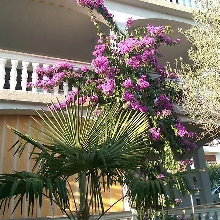 Golub Apartment *