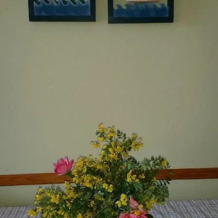 Golub Apartment Krk Town
