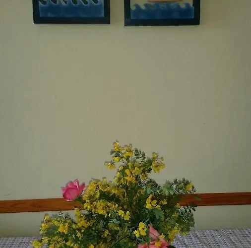 Golub Appartement Krk Town